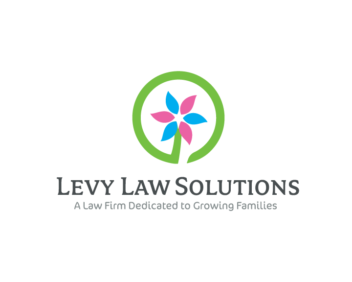 Levy Law Solutions
